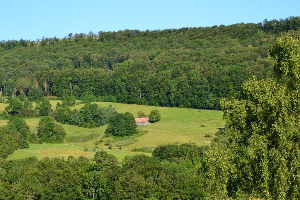 B&B Am Sonnenhuegel Baden Zewnętrze zdjęcie