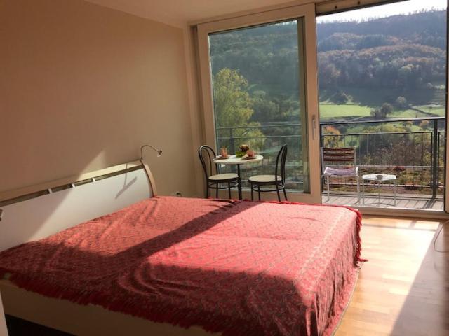 B&B Am Sonnenhuegel Baden Zewnętrze zdjęcie